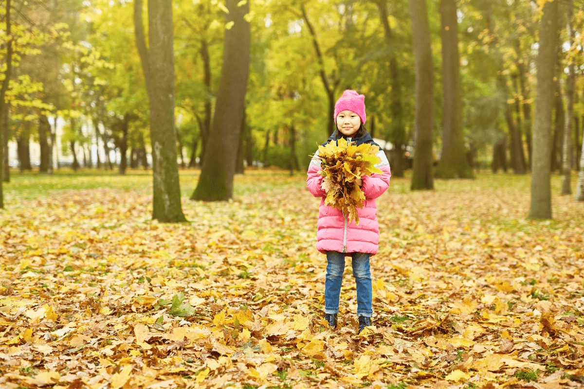 novembre éducatif sorties enfant