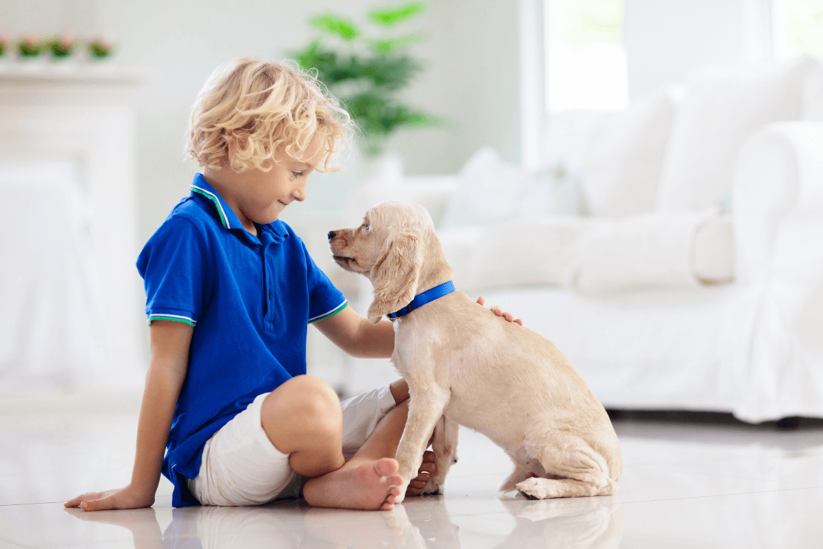 socialisation enfant avec chien